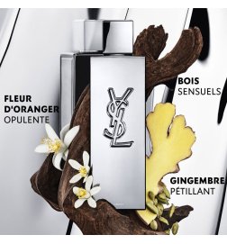 Absolue Longevity - Crème Fondante Absolue Longevity - Crème Fondante